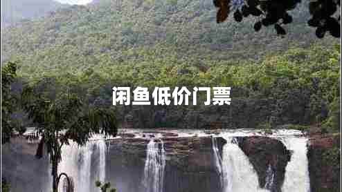 閑魚低價(jià)門票