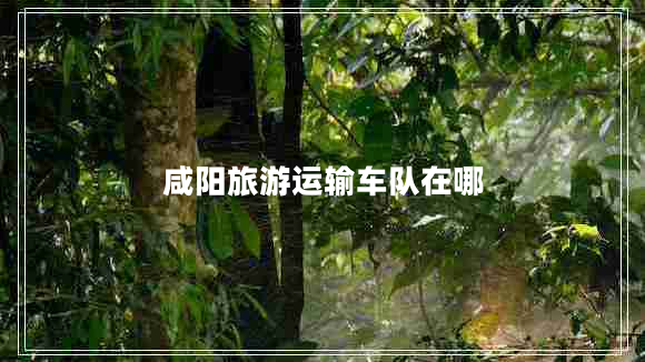 咸陽旅游運輸車隊在哪