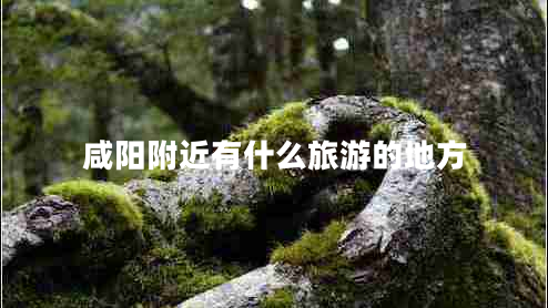 咸陽(yáng)附近有什么旅游的地方