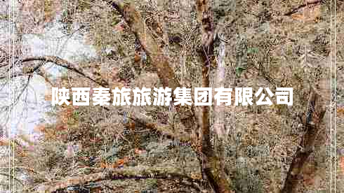 陜西秦旅旅游集團有限公司