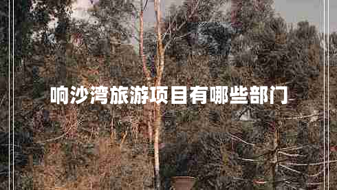 響沙灣旅游項(xiàng)目有哪些部門(mén)