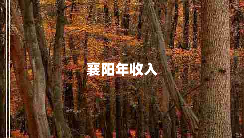 襄陽年收入