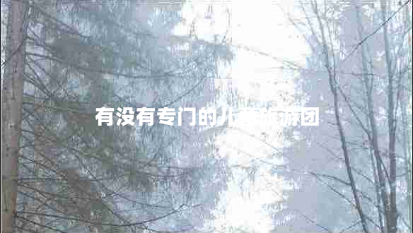 有沒有專門的兒童旅游團(tuán)