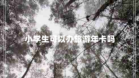 小學生可以辦旅游年卡嗎