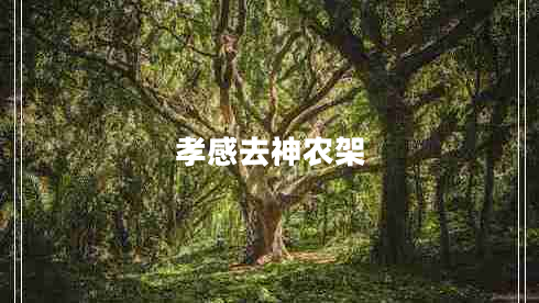 孝感去神農(nóng)架