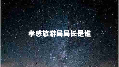孝感旅游局局長是誰