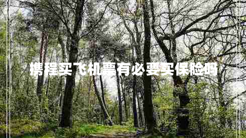 攜程買(mǎi)飛機(jī)票有必要買(mǎi)保險(xiǎn)嗎