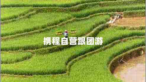 攜程自營跟團(tuán)游