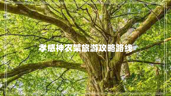 孝感神農(nóng)架旅游攻略路線