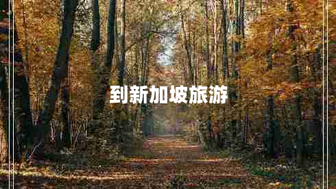 到新加坡旅游