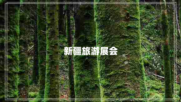 新疆旅游展會(huì)