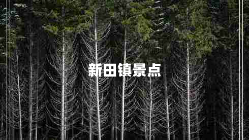 新田鎮(zhèn)景點(diǎn)