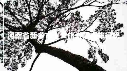 河南省新鄉(xiāng)市十大旅游景點(diǎn)排行榜