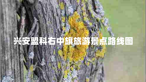 興安盟科右中旗旅游景點(diǎn)路線圖