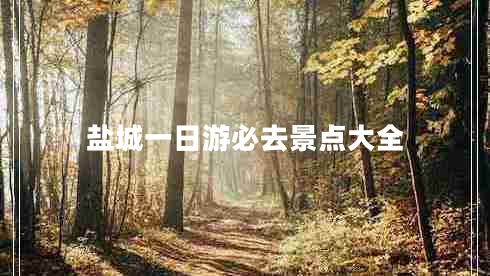 鹽城一日游必去景點大全