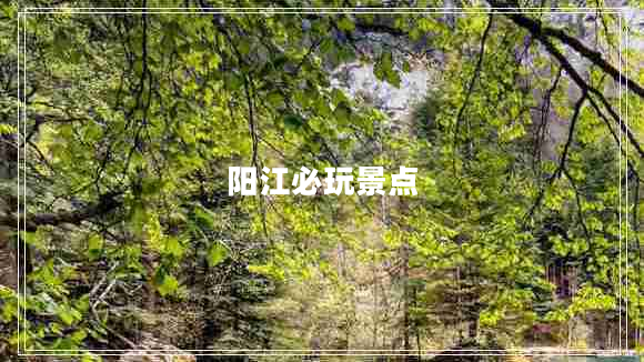 陽江必玩景點