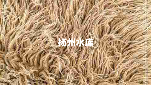 揚(yáng)州水庫(kù)