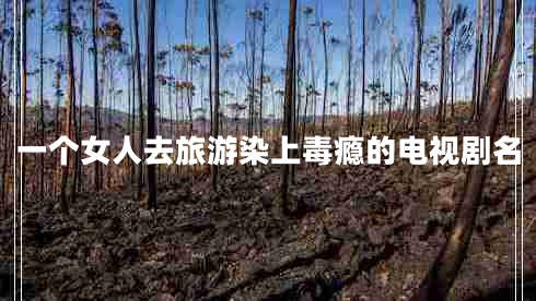 一個女人去旅游染上毒癮的電視劇名
