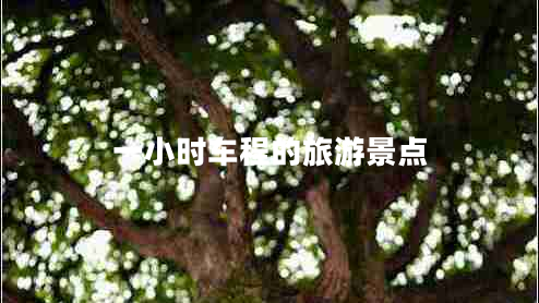 一小時(shí)車(chē)程的旅游景點(diǎn)