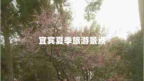 宜賓夏季旅游景點(diǎn)
