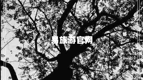 易旅游官網(wǎng)