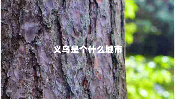 義烏是個(gè)什么城市