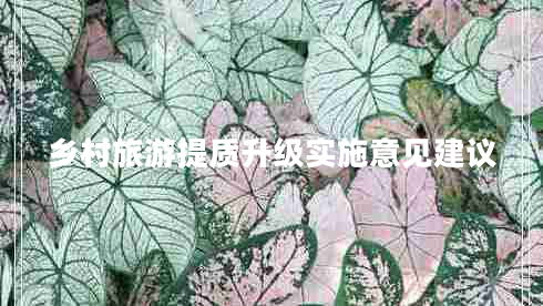 鄉(xiāng)村旅游提質(zhì)升級(jí)實(shí)施意見建議
