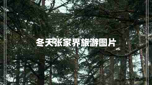 冬天張家界旅游圖片