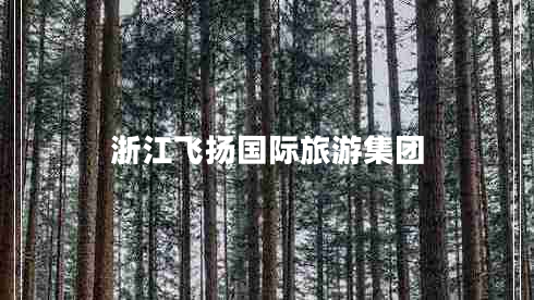 浙江飛揚國際旅游集團