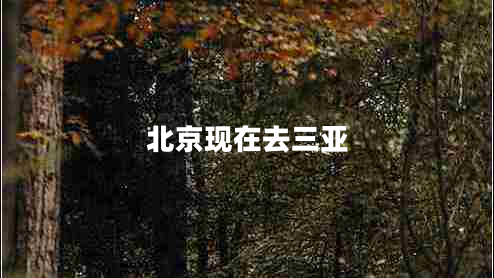 北京現(xiàn)在去三亞
