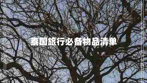 泰國(guó)旅行必備物品清單