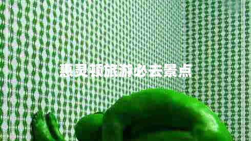 惠靈頓旅游必去景點