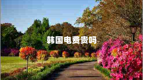 韓國(guó)電費(fèi)貴嗎