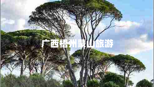 廣西梧州蒙山旅游