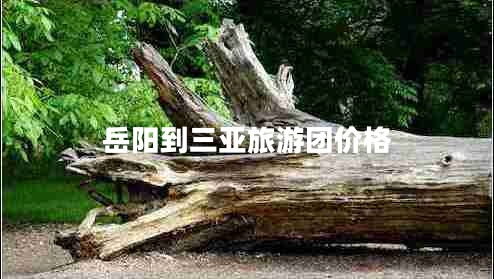 岳陽到三亞旅游團(tuán)價(jià)格