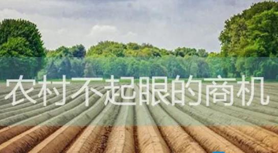 農村不起眼的商機有哪些