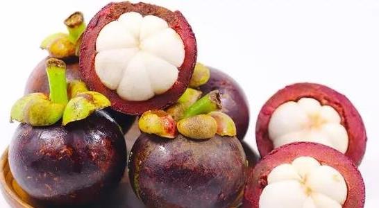 山竹長(cháng)在土里還是樹(shù)上