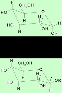 苷類(lèi)化合物常用水解方法有哪些