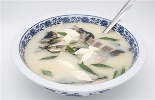 男士滋陰補陽(yáng)的方法有哪些