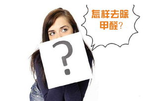 去除新房異味方法哪些哪有