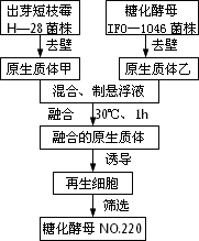誘導動(dòng)物細胞融合的方法有哪些