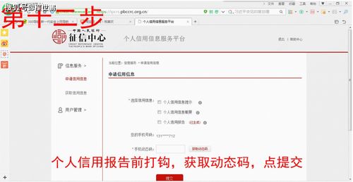 查詢(xún)征信的方法有哪些內容