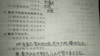 描寫(xiě)方法有哪些修辭手法