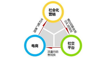 網(wǎng)絡(luò )營(yíng)銷(xiāo)技巧與方法有哪些
