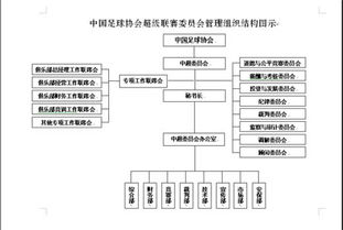 組織有什么分類方法有哪些內容