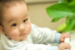 小孩子補鈣有哪些方法