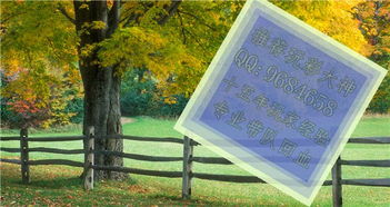 后一萬(wàn)能7碼有哪些怎么使用方法