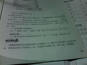 小學(xué)最常用的寫(xiě)作方法有哪些