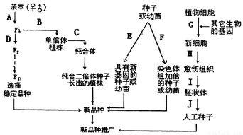 防止流砂現象的途徑和方法有哪些