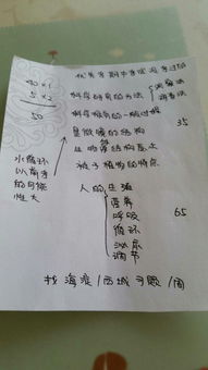 觀(guān)察比較方法有哪些
